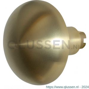 GPF Bouwbeslag PVD 9857.P4 S4 Paddenstoel knop 65 mm voor veiligheids schilden vast met bout M10 PVD mat messing GPF9857P4410