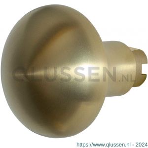 GPF Bouwbeslag PVD 9859.P4 S5 Paddenstoel knop 52 mm voor veiligheids schilden vast met wisselstift PVD mat messing GPF9859P4400