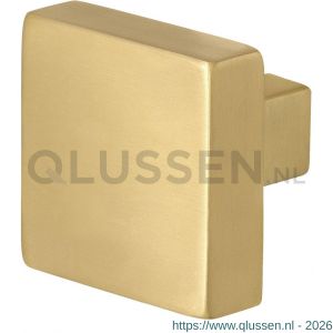 GPF Bouwbeslag PVD 9948.P4 S1 vierkante knop 53x53x16 mm draaibaar met krukstift PVD mat messing GPF9948P4200
