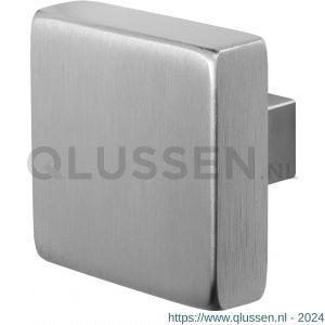 GPF Bouwbeslag RVS 9950.09 S2 vierkante knop 60x60x16 mm vast met knopvastzetter RVS geborsteld GPF995009400