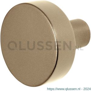 GPF Bouwbeslag Anastasius 9952.A4 S1 vlakke knop 52x16 mm draaibaar met krukstift Champagne blend GPF9952A40200