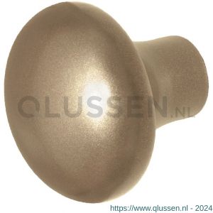 GPF Bouwbeslag Anastasius 9959.A4 S2 Paddenstoel knop 52 mm vast met knopvastzetter Champagne blend GPF9959A40400