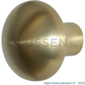 GPF Bouwbeslag PVD 9959.P4 S3 Paddenstoel knop 52 mm vast met metaalschroef M10 PVD mat messing GPF9959P4410