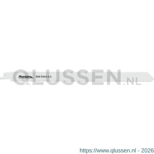 Phantom 64.600 bi-metaal reciprozaag R 300-25 set 5 stuks 64.600.3025