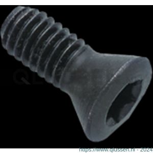 Phantom 73.998 onderdelen wisselplaathouder Torx schroef M25x6 mm 60 graden T8 73.998.0600