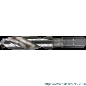 International Tools 11.120 ECO HSS spiraalboor met 1/4 inch (635 mm)-zeskant bitopname 102 mm 11.120.1020