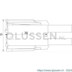 Phantom 62.210 HM-tip kernboor rail snijdiepte 30 mm 22 mm 62.210.2200