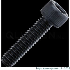 Phantom 74.998 onderdelen steekplaathouder inbusbout M6x25 mm SW 5 74.998.0005