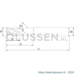 Phantom 34.400 VHM HSC schachtfrees 4-snijder TiAlN-B verjongde schacht (nek) 45-70 HRc 2x2x5 mm 34.400.0200