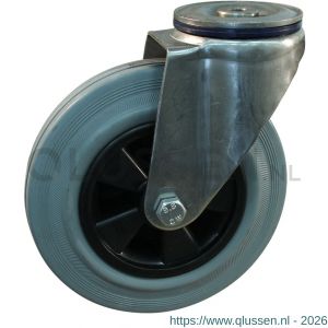 Protempo serie 11-31 zwenk transportwiel boutgat RVS gaffel PP velg standaard grijze rubberen band 180 mm rollager RVS 211.189.310.012