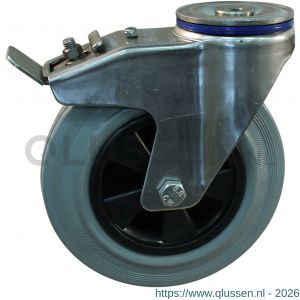 Protempo serie 11-31 zwenk transportwiel boutgat dubbele rem naloop RVS gaffel PP velg standaard grijze rubberen band 200 mm rollager RVS 211.209.310.512