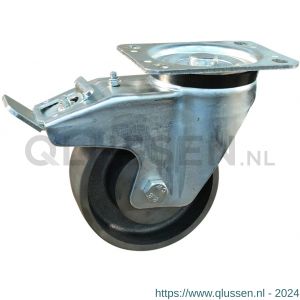 Protempo serie 45-91 zwenk transportwiel plaatbevestiging dubbele rem naloop stalen gaffel gietijzeren 130 mm glijlager 245.131.916.550