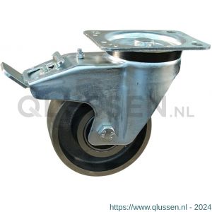 Protempo serie 45-91 zwenk transportwiel plaatbevestiging dubbele rem naloop stalen gaffel gietijzeren 130 mm kogellager 245.136.916.550