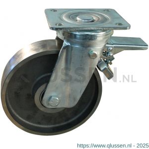 Protempo serie 45-18 zwenk transportwiel plaatbevestiging dubbele rem voorloop stalen gaffel gietijzeren 250 mm kogellager 245.256.186.350