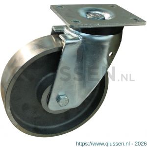 Protempo serie 45-19 zwenk transportwiel plaatbevestiging stalen gaffel gietijzeren 250 mm kogellager 245.256.196.050