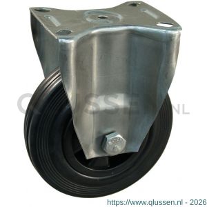 Protempo serie 01-30 bok transportwiel plaatbevestiging RVS gaffel PP velg standaard zwarte rubberen band 160 mm rollager RVS 301.169.306.000