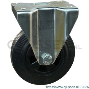 Protempo serie 01-31 bok transportwiel plaatbevestiging RVS gaffel PP velg standaard zwarte rubberen band 160 mm rollager RVS 301.169.316.000