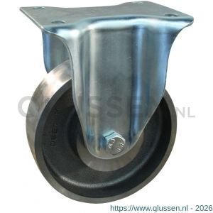 Protempo serie 45-19 bok transportwiel plaatbevestiging stalen gaffel gietijzeren 100 mm glijlager 345.101.146.040