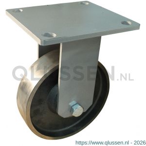Protempo serie 45-09 bok transportwiel plaatbevestiging stalen gaffel gietijzeren 250 mm kogellager 345.256.096.000