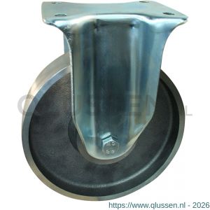 Protempo serie 45-14 bok transportwiel plaatbevestiging stalen gaffel gietijzeren 250 mm kogellager 345.256.146.050
