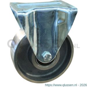 Protempo serie 45-91 bok transportwiel plaatbevestiging stalen gaffel gietijzeren 250 mm kogellager 345.256.916.050