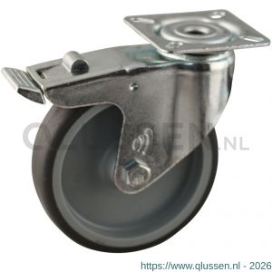 Protempo serie 68-60 zwenk apparatenwiel boutgat dubbele rem voorloop stalen gaffel grijze PA velg TPE band 100 mm glijlager 468.101.600.300