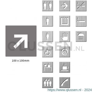 Didheya pictogram vierkant Pijl diagonaal RVS inox 51952006