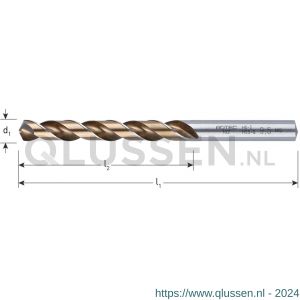 Rotec 102 HSS-G spiraalboor DIN 338 type HD-S diameter 1,3x16x38 mm set 10 stuks 102.0130