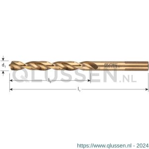 Rotec 116E HSS-E spiraalboor DIN 338 TOP-X type N diameter 11,0x94x142 mm 116.1100E