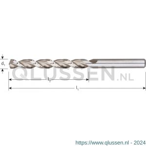 Rotec 262 HSS-G houtspiraalboor DIN 338 TLS diameter 4,5x47x80 mm set 10 stuks 262.0450