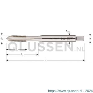 Rotec 320B HSS-E machinetap doorlopend DIN 371 M8x1,25 mm 320.0800B