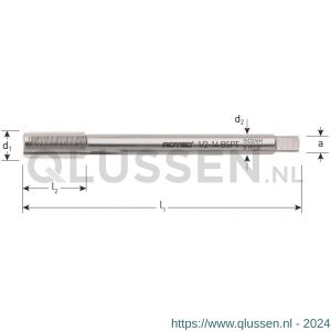 Rotec 342 HSS-E machinetap 800 doorlopend DIN 5156 BSPT 1/4 inch TPI 19 342.0004