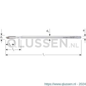 Rotec 349 HSS-E machinetap extra lang doorlopend DIN 371 M3 349.0300