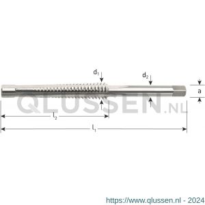 Rotec 356 HSS-G trapezium machinetap doorlopend DIN 103 TR 24x5 mm 356.2400