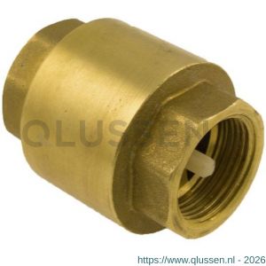 Bonfix keerklep met kunststof insert 2 inch 40095