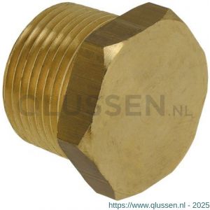 Bonfix plug met zeskant 1/2 inch conisch 44610