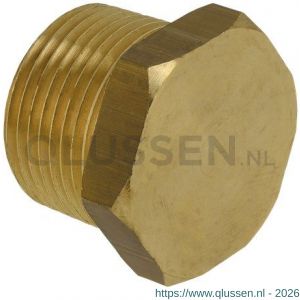 Bonfix plug met zeskant 1 inch conisch 44620