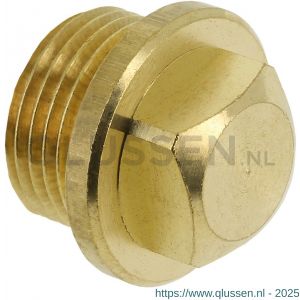 Bonfix plug met zeskant 3/4 inch 80940