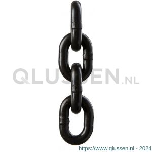 Deltalock roestvrijstalen lastketting 6x18 mm 0,5 ton LI.RVS.06X18